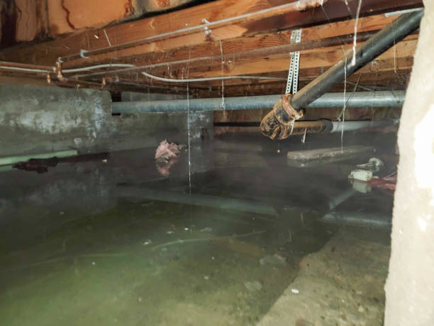 Best Flooded house restoration  in Capron, IL